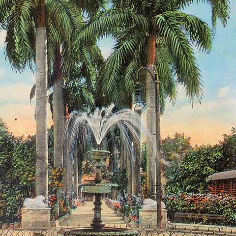 1930s Havana Fuente en el Parque Colon. Fountain in Colon Park Postcard