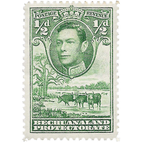 Bechuanaland Protectorate Stamp 1941 0.5 Penny George VI Cattle (Bos primigenius taurus)
