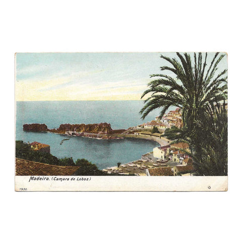 Portugal Island Madeira Ocean View Vintage Postcard