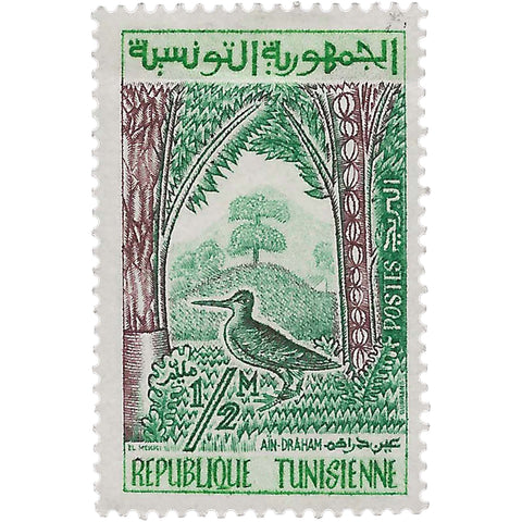 Tunisia Stamp 1959 Half Tunisian milim Common Snipe (Gallinago gallinago) Birds