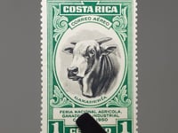 1950 1 Costa Rican Céntimo Costa Rica Stamp Stock Bull (Bos primigenius taurus) Agricultural exhibition in Cartago