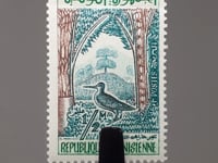 Tunisia Stamp 1959 Half Tunisian milim Common Snipe (Gallinago gallinago) Birds